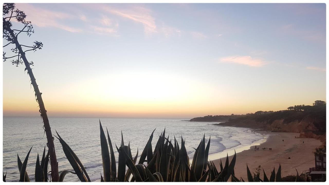 Villa Margarida By Laranjal Rentals Albufeira Ngoại thất bức ảnh